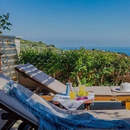 Villa Alegria Skopelos Town Exterior photo